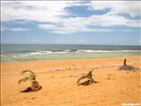 Playa Aviones - LOÍZA